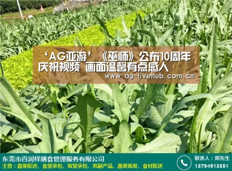 ‘AG亚游’《巫师》公布10周年庆祝视频 画面温馨有点感人(图1) AG真人