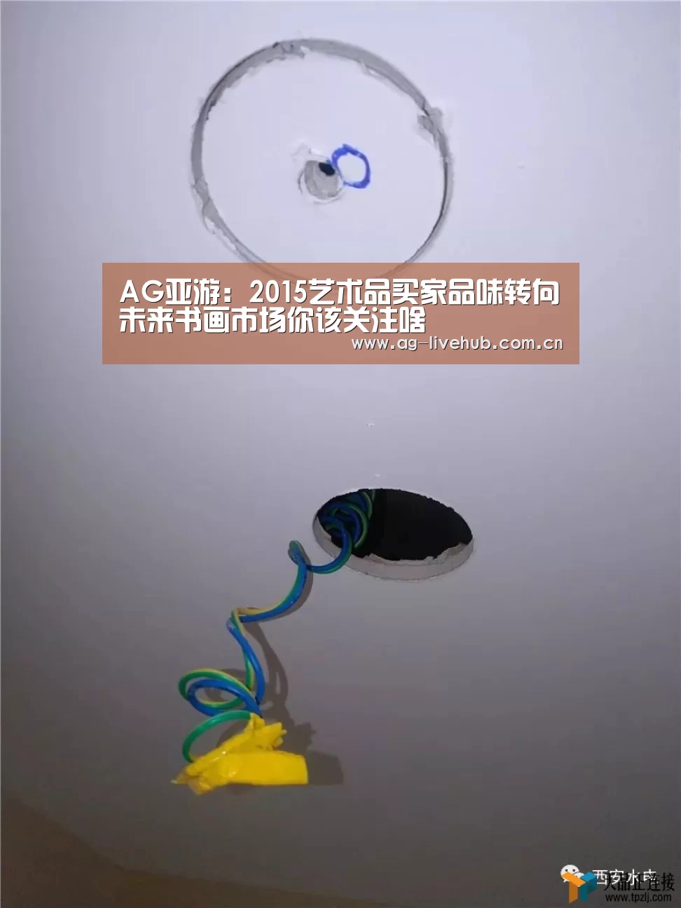 AG亚游:2015艺术品买家品味转向未来书画市场你该关注啥(图4) AG体育