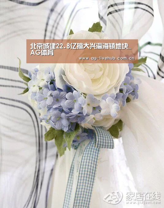 北京城建22.8亿摘大兴瀛海镇地块_AG体育(图2) AG真人娱乐