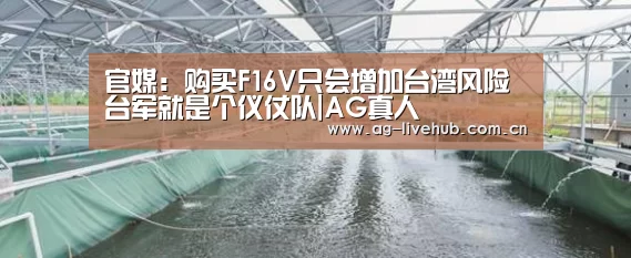 官媒:购买F16V只会增加台湾风险 台军就是个仪仗队|AG真人(图2) AG真人娱乐