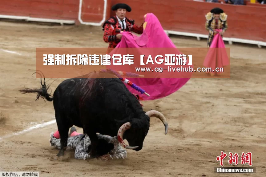 强制拆除违建仓库【AG亚游】(图1) AG体育